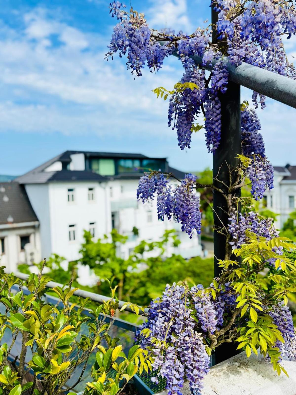 Pension Am Sueltebrunnen Bad Oeynhausen Exterior foto